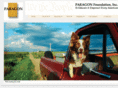 paragonfoundation.org