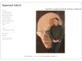 raymondgalle.com