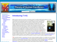 theoryofexcellence.com