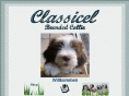 bearded-classicel.de