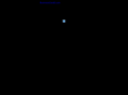 hornetgun.com