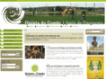 jf-quintadoconde.pt