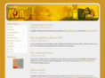 kong360.com