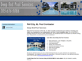 pellcitypoolservice.com