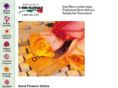 send-flowers-online.net