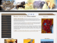 silverbilltours.com
