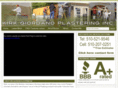 albanyplastering.com
