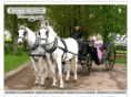 horsedrawn-carriage.co.uk