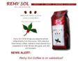 remysol.com