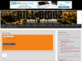 billbiggz.com