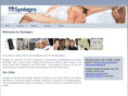 syntegro.com