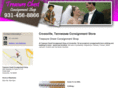 treasurechestconsignment.com