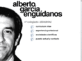 albertogarciaenguidanos.es