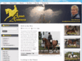 arabian-horse-uk.com