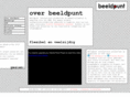 beeldpunt.nl
