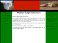 budgetsafaritours.com