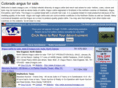 coangus.com
