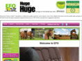 equestrianfactoryoutlet.com