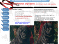 thestandardpoodlelady.com