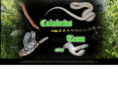 colubridsteam.com