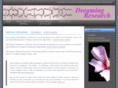dreamingresearch.com