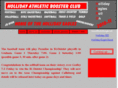 hollidayeagle.com