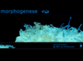 morphogenese.com