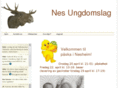 nesungdomslag.com
