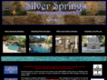 silverspringspools.com