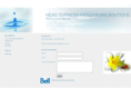 headturnershairstyling.com