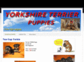 puppy777.com
