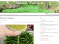 wildwatercress.com