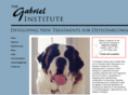 gabrielinstitute.org