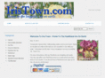 iristown.com