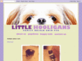 littlehooliganshihtzu.com