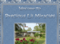 preciouslilmiracles.com