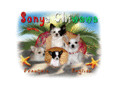sonyachiwawa.com