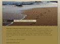 barefooteditorial.com