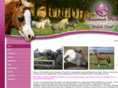 bowmunparkwelshstud.com