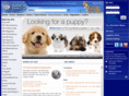 akc-dogs.com