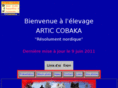 samoyede-artic-cobaka.com
