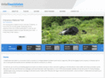 unitedtravelandsafaris.net