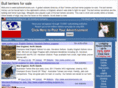 bullterrierforsale.com
