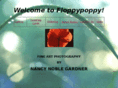floppypoppy.com