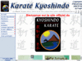 karatekyoshindo.com