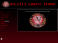 niblettskaratestudio.com