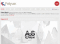 feiyue.es