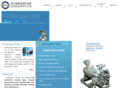 hydrodynepumps.com