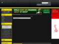 borrowernews.com