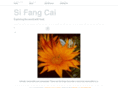 sifangcai-atlanta.com